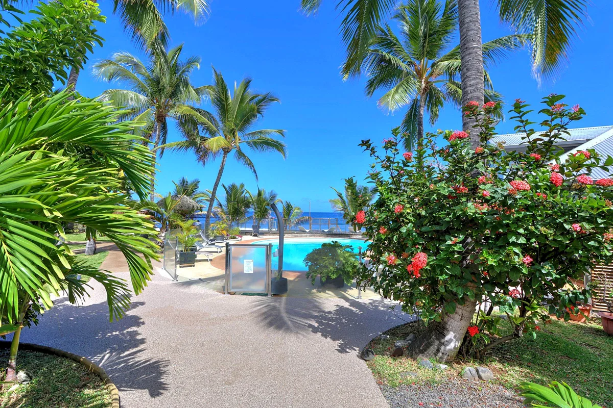 L'allée du jardin, ses hibiscus rouges et la mer au bout