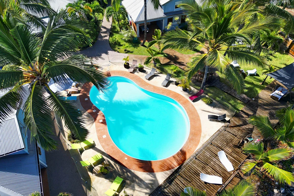 La piscine vue d'en haut, au milieu des palmiers